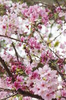 https://images.plurk.com/64gz4TNRTQGFxcCMJCe42y.jpg