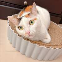 https://images.plurk.com/64oLQSs1oLuffAGGfzj4ym.jpg
