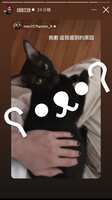 https://images.plurk.com/64orpuNS8ohdJRiS2kxliR.jpg