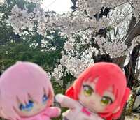 https://images.plurk.com/64zouuGzI653Tlvd4CiKGX.jpg