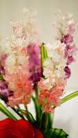 https://images.plurk.com/650aqGULpJnqJPgb47IYL7.jpg