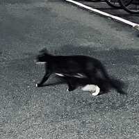 https://images.plurk.com/653C89Y69xhjyzhBPCg9ur.jpg