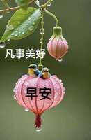 https://images.plurk.com/658gzCQN0CGcHqBKR99Bsg.jpg