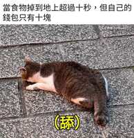 https://images.plurk.com/65D0g2ELDOdbFZx6NmKGrS.jpg