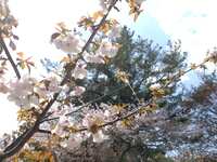 https://images.plurk.com/65EQJfxwXVXjnp0KhFK2Pe.jpg