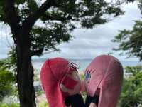 https://images.plurk.com/65FLiihYVkWFs8ZOq8SUsp.jpg