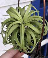 https://images.plurk.com/65G5qssOYIkidJwdXcvKRc.jpg