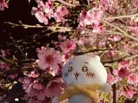 https://images.plurk.com/65M97Gq7qM74M3v4dmNwAt.jpg