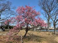 https://images.plurk.com/65RHXMkuvUTdX8q22Cd65H.jpg