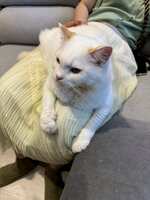 https://images.plurk.com/65ksOOhI5OpXvd3Ox9PEsH.jpg