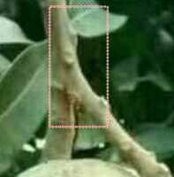https://images.plurk.com/65nKVAcSyzlDAZz5BCQGgH.png