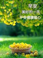 https://images.plurk.com/65neegbEd1GfRSaoRy8C2E.jpg