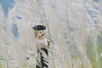 https://images.plurk.com/65vxRnGhwxFVLQUexskOWg.jpg