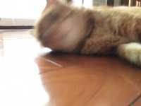 https://images.plurk.com/65yNPqEtFCNzh6SdqGP38T.jpg