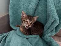 https://images.plurk.com/661I504OUTJfx1ePTAq5ki.jpg