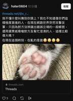 https://images.plurk.com/665r2sHguegnZhs60mf99t.jpg