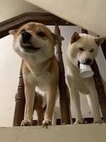 https://images.plurk.com/668FOIQorcjZTWQ6BOCOtK.jpg