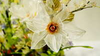 https://images.plurk.com/66FSCfBPjeCtKqrN5J2Rxl.jpg