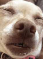 https://images.plurk.com/66LQsV3K3zOaAivn5G2MHa.gif