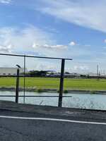https://images.plurk.com/66OyFEdpxgqVTtpGqBz6i6.jpg