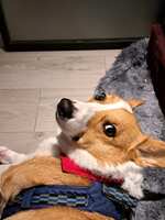 https://images.plurk.com/66SMunjfliDcO3bH6T0Ys9.jpg
