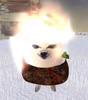 https://images.plurk.com/66WsQIEu2OWZflQfYSmZgW.gif