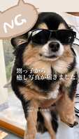 https://images.plurk.com/66ZzUB0e0oJ2fdXEb0tbym.jpg