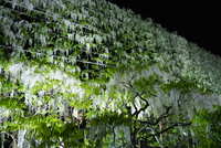 https://images.plurk.com/66cNeTFpE38ERID2Zk3Si6.jpg