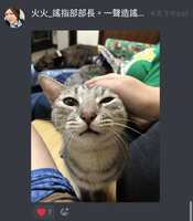 https://images.plurk.com/66cctRcDuJxi5XTp4RpqLa.jpg