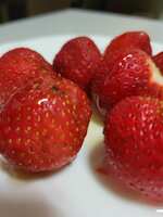 https://images.plurk.com/66eLANi5WBaqSk2EeoxXgr.jpg