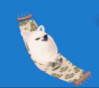 https://images.plurk.com/66jQilCwaErDrmZJkGBTbk.gif