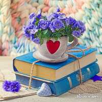 https://images.plurk.com/66rMxyR6KNspyXlw5w10sl.jpg