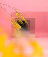 https://images.plurk.com/66uG2UTMKPPrWfsa5x0Y8X.jpg