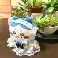 https://images.plurk.com/671FbpeWNqVCPUupt4vPSN.jpg