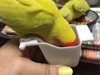 https://images.plurk.com/675jEAv0nDnRA6sui8afZa.jpg