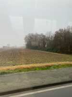 https://images.plurk.com/67A4lRK07SBzqscgB3Owrq.jpg