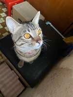 https://images.plurk.com/67NKRAln3Q7Yo7Io3al5LU.jpg