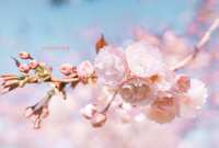 https://images.plurk.com/67NUCGPJXbdZb0No3CvBPf.jpg