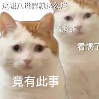 https://images.plurk.com/67Vc0fev9bClbMQ6UpqYjl.png