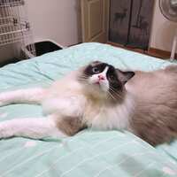 https://images.plurk.com/67Xe07Dbd6gRtGX83Y6qhn.jpg