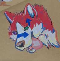 https://images.plurk.com/67dCe8BSsDbejoWWLzrYgO.jpg