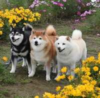 https://images.plurk.com/67dTY0CPrFL0wBFu3MKQnv.jpg