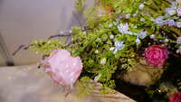 https://images.plurk.com/67juuJciC8SfhkK5fHROK8.jpg
