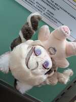 https://images.plurk.com/67v9shEay3L4slL2HycPtg.jpg