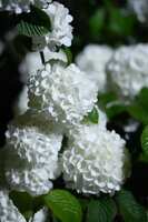 https://images.plurk.com/67wQP9RJKhspsBWx0R5ImD.jpg