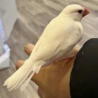 https://images.plurk.com/680UA6GGjdDz9NqoHScdAS.jpg