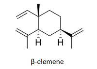https://images.plurk.com/68IHJZwEyfO5pN37gYuHML.jpg