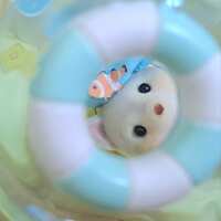 https://images.plurk.com/68Me7U73juHfUkUE9wNcB5.jpg