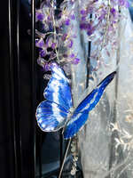 https://images.plurk.com/68RSXPcx171WgFDYPQhyep.jpg