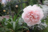 https://images.plurk.com/68csucqIT3xXPm3h2VV6CG.jpg